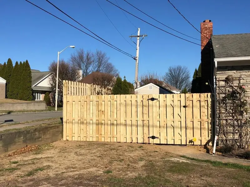 Fencing project 1