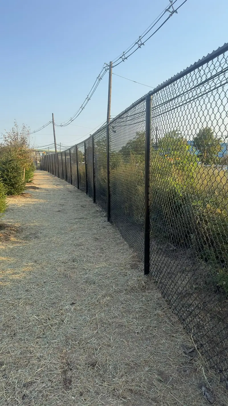 Fencing project 16