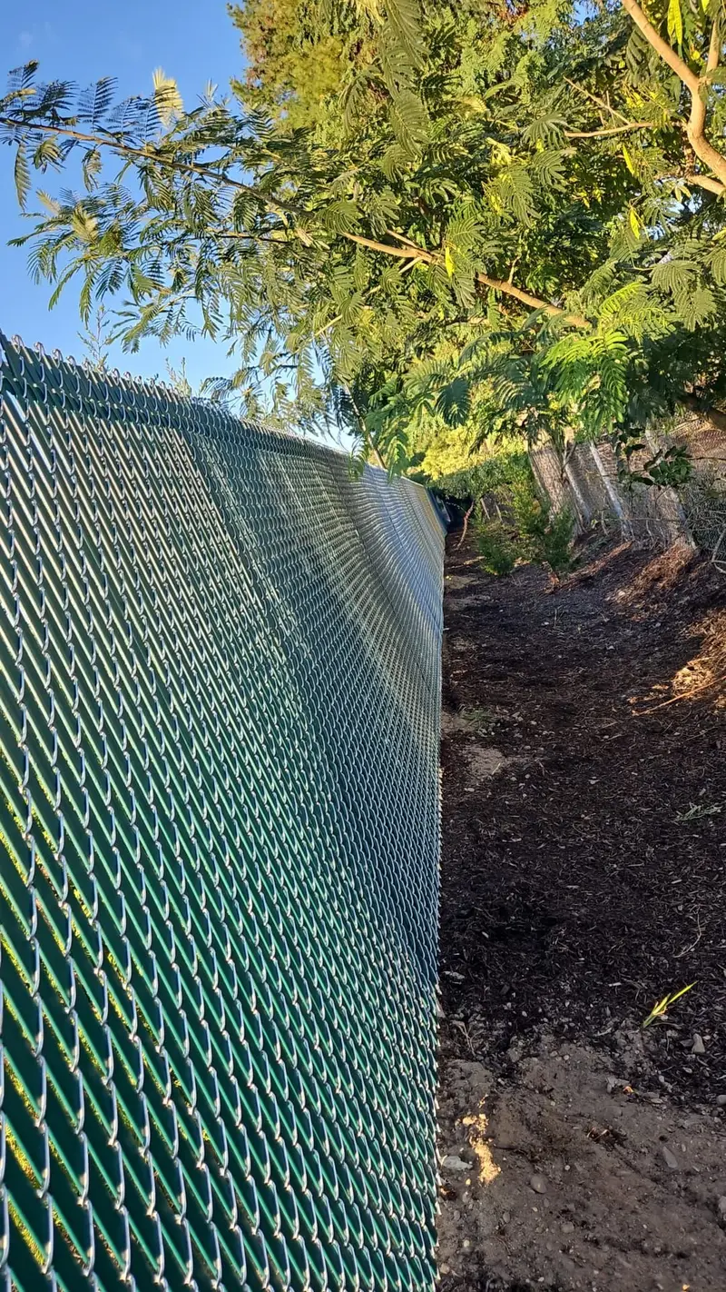 Fencing project 18